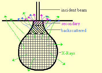 interaction volume of SEM