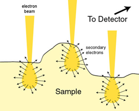  curvature effect on SE