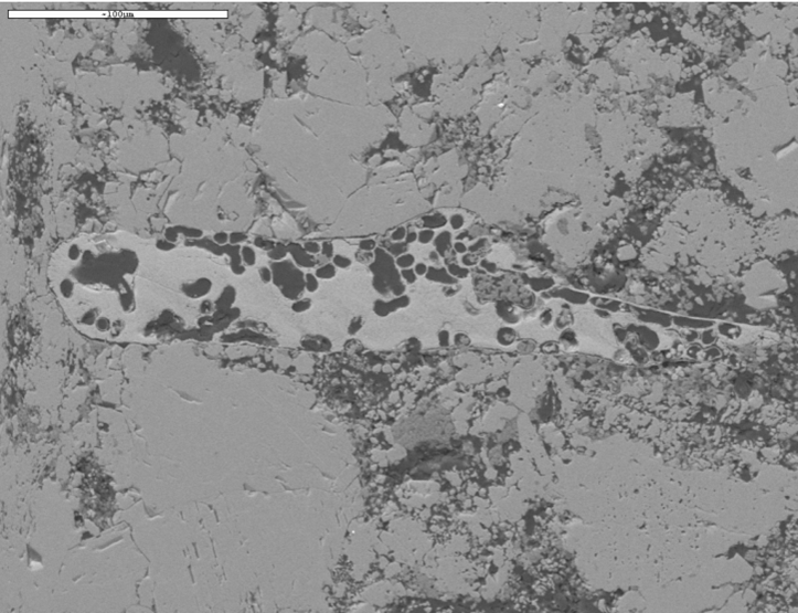 EDS example Fossil inside a tertiary limestone: image