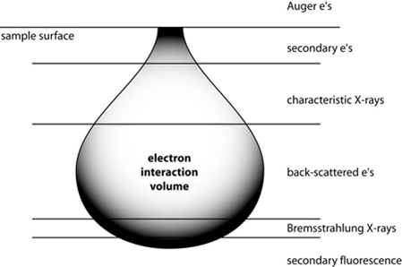 interaction volume