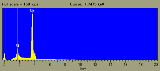 EDS example Fossil inside a tertiary limestone: spectrum