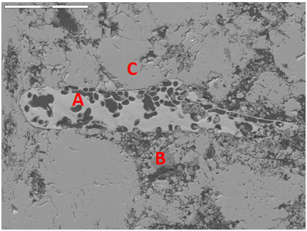 EDS example Fossil inside a tertiary limestone: image