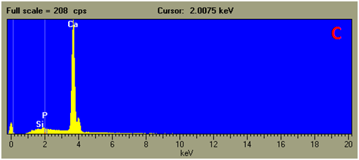 EDS example Fossil inside a tertiary limestone: spectrum spot C