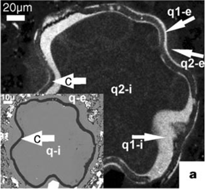 SEM CL image algal cyst