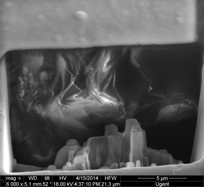 FIB/SEM example image