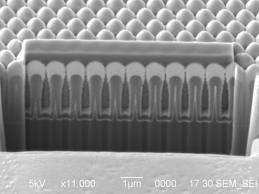 FibSEM image example