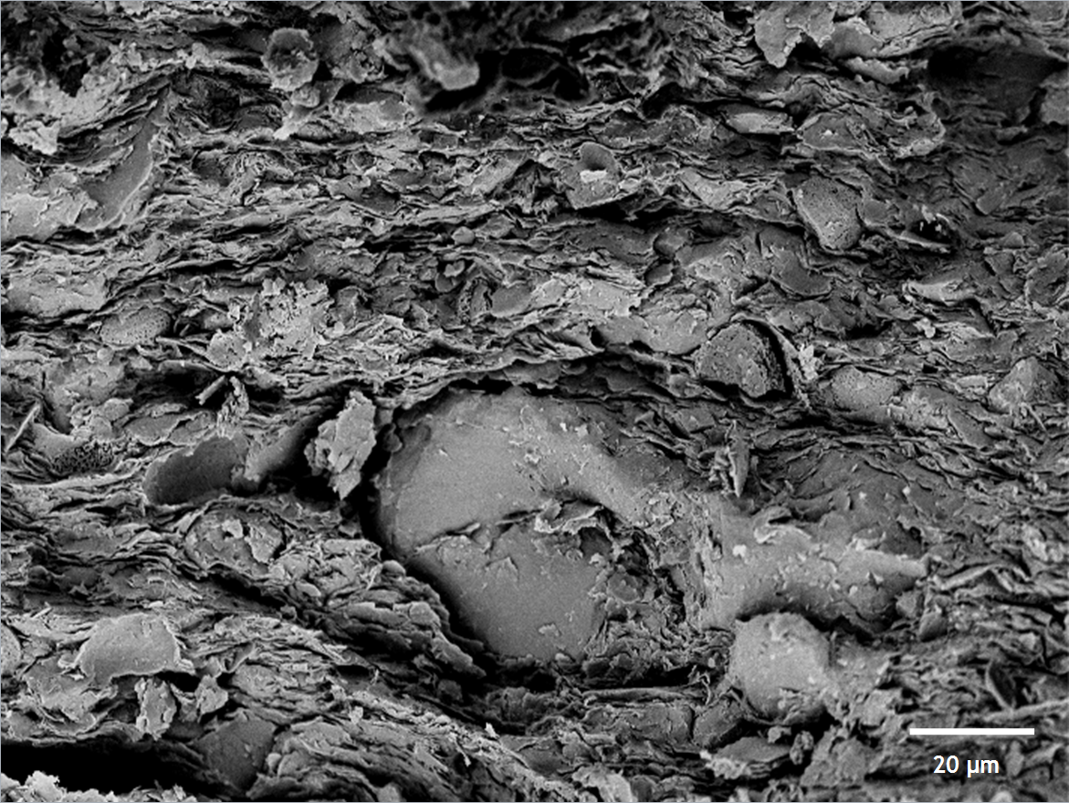 Dried Boom Clay – fractured surface