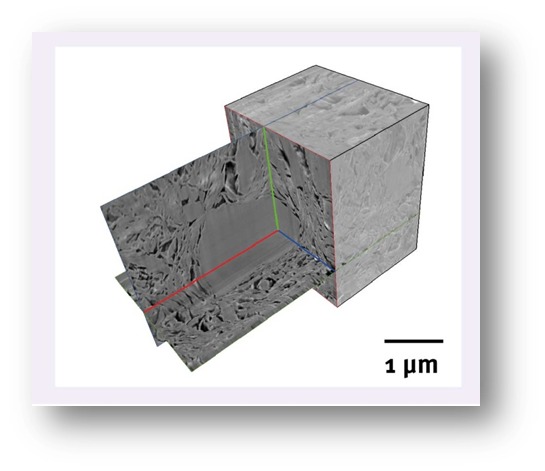 Dried Boom Clay – fractured surface
