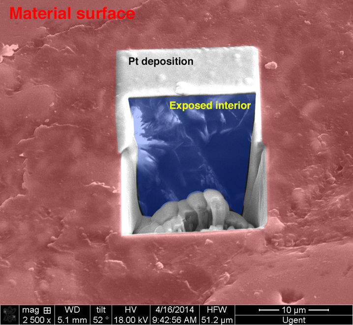 FibSEM image example2