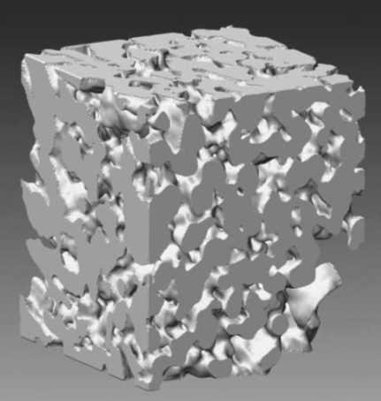 Three-dimensional analysis of porousBaTiO3 ceramics using FIB nanotomography